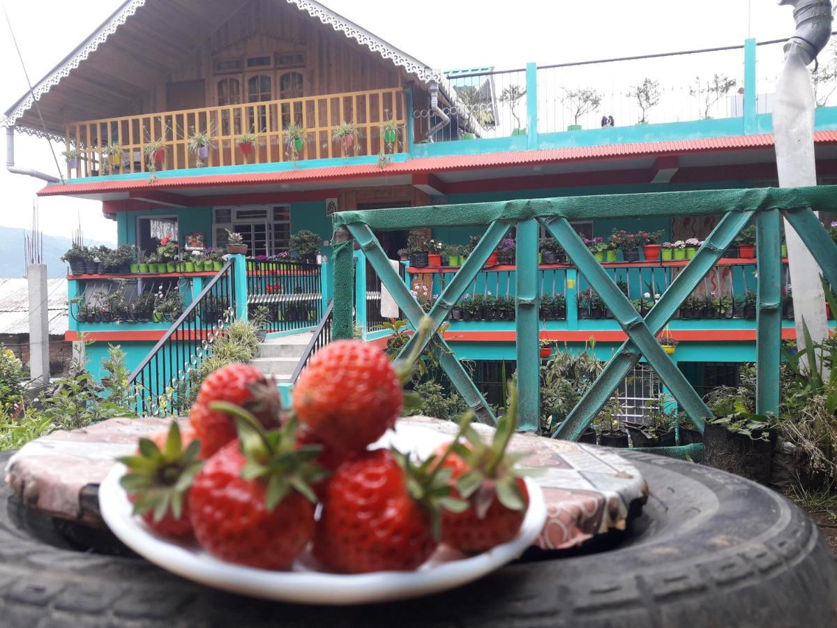 Kabiraalaya Homestay Darjeeling  Eksteriør bilde